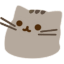 :meow_pusheen: